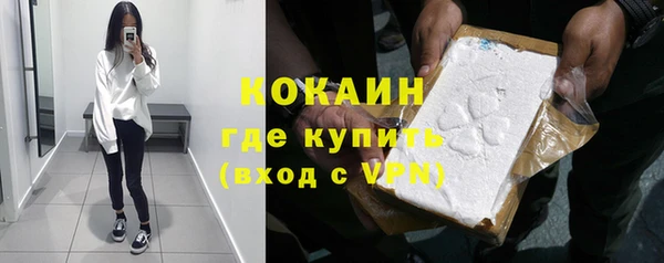 дмт Абаза