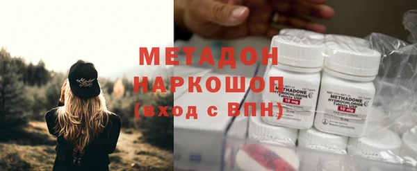 гидра Алексеевка