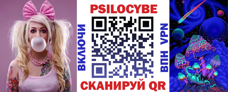 Галлюциногенные грибы Psilocybe  дарк нет состав  Ачхой-Мартан  купить  сайты 